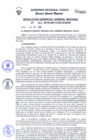 Vista preliminar de documento Resolución de Gerencia General