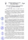 Vista preliminar de documento Resolución de Gerencia General