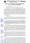 Vista preliminar de documento Resolución de Gerencia General