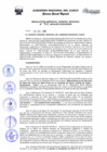 Vista preliminar de documento Resolución de Gerencia General