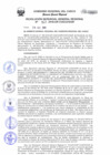 Vista preliminar de documento Resolución de Gerencia General