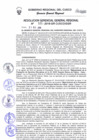 Vista preliminar de documento Resolución de Gerencia General