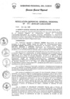 Vista preliminar de documento Resolución de Gerencia General