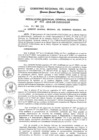 Vista preliminar de documento Resolución de Gerencia General