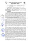 Vista preliminar de documento Resolución de Gerencia General