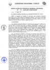 Vista preliminar de documento Resolución de Gerencia General