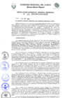 Vista preliminar de documento Resolución de Gerencia General