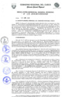 Vista preliminar de documento Resolución de Gerencia General