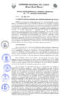 Vista preliminar de documento Resolución de Gerencia General