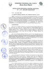 Vista preliminar de documento Resolución de Gerencia General