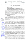 Vista preliminar de documento Resolución de Gerencia General