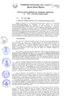 Vista preliminar de documento Resolución de Gerencia General