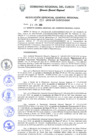 Vista preliminar de documento Resolución de Gerencia General