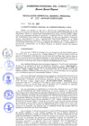 Vista preliminar de documento Resolución de Gerencia General
