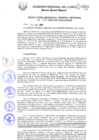 Vista preliminar de documento Resolución de Gerencia General
