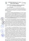 Vista preliminar de documento Resolución de Gerencia General