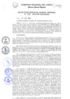 Vista preliminar de documento Resolución de Gerencia General