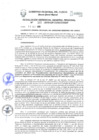 Vista preliminar de documento Resolución de Gerencia General