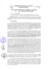 Vista preliminar de documento Resolución de Gerencia General