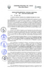 Vista preliminar de documento Resolución de Gerencia General