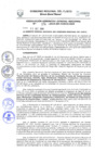Vista preliminar de documento Resolución de Gerencia General