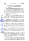 Vista preliminar de documento Resolución de Gerencia General