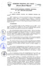 Vista preliminar de documento Resolución de Gerencia General