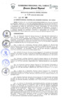 Vista preliminar de documento Resolución de Gerencia General