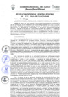 Vista preliminar de documento Resolución de Gerencia General