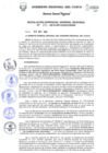 Vista preliminar de documento Resolución de Gerencia General