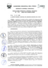 Vista preliminar de documento Resolución de Gerencia General