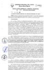 Vista preliminar de documento Resolución de Gerencia General