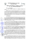 Vista preliminar de documento Resolución de Gerencia General