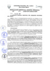 Vista preliminar de documento Resolución de Gerencia General