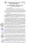 Vista preliminar de documento Resolución de Gerencia General