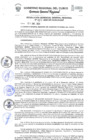 Vista preliminar de documento Resolución de Gerencia General