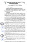 Vista preliminar de documento Resolución de Gerencia General