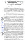 Vista preliminar de documento Resolución de Gerencia General