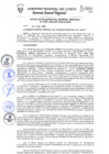 Vista preliminar de documento Resolución de Gerencia General