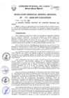 Vista preliminar de documento Resolución de Gerencia General