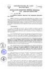 Vista preliminar de documento Resolución de Gerencia General