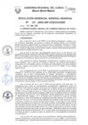 Vista preliminar de documento Resolución de Gerencia General