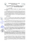 Vista preliminar de documento Resolución de Gerencia General