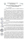Vista preliminar de documento Resolución de Gerencia General