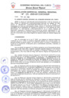 Vista preliminar de documento Resolución de Gerencia General