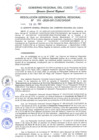 Vista preliminar de documento Resolución de Gerencia General