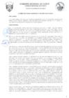 Vista preliminar de documento Acuerdo Regional