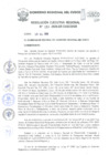 Vista preliminar de documento Resolución Ejecutiva Regional