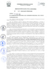 Vista preliminar de documento Resolución Ejecutiva Regional