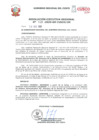 Vista preliminar de documento Resolución Ejecutiva Regional
